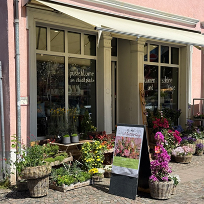 Blumen Laden Bad Dürkheim